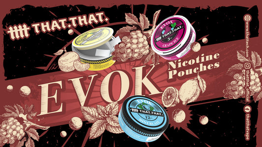 THATHAT Evok Nicotine Pouches Review: A Smokeless, Tobacco-Free Experience