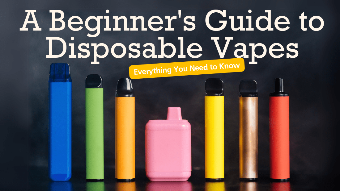 A Beginner's Guide to Disposable Vapes: Everything You Need to Know - Vidyll