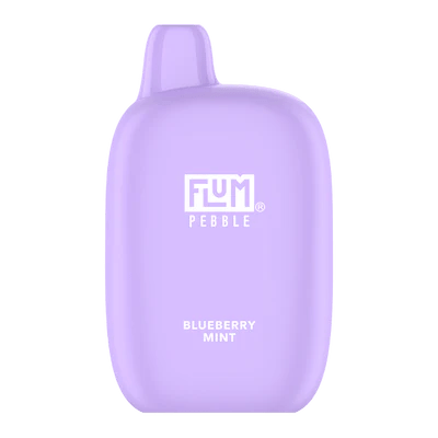 Flum Pebble 6000 Puff Disposable Vape Blueberry Mint - Vidyll