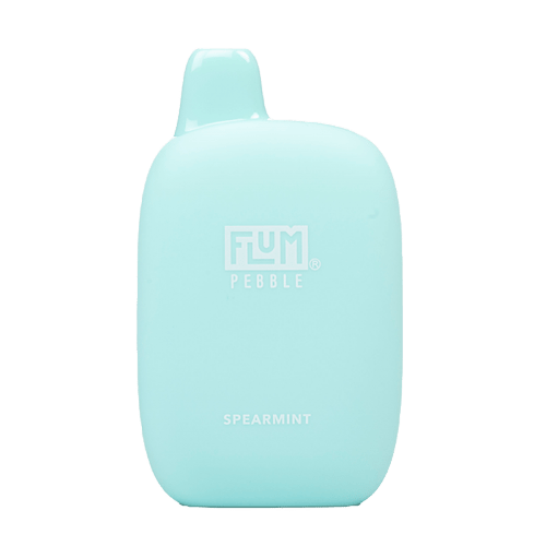 Flum Pebble 6000 Puff Disposable Vape Spearmint - Vidyll